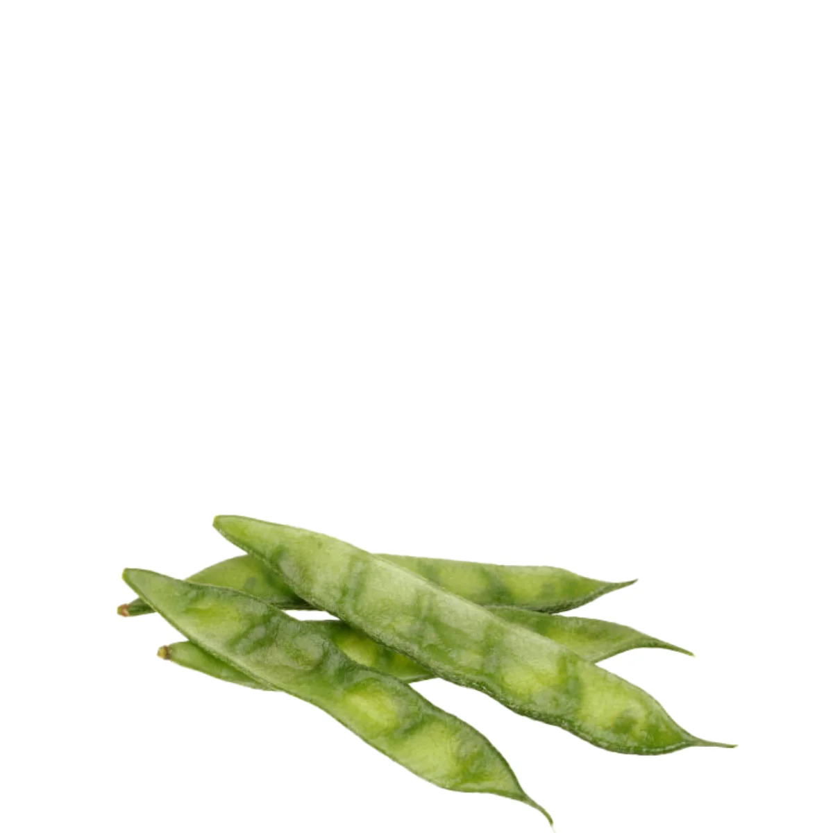 gadsfresh veg (11)