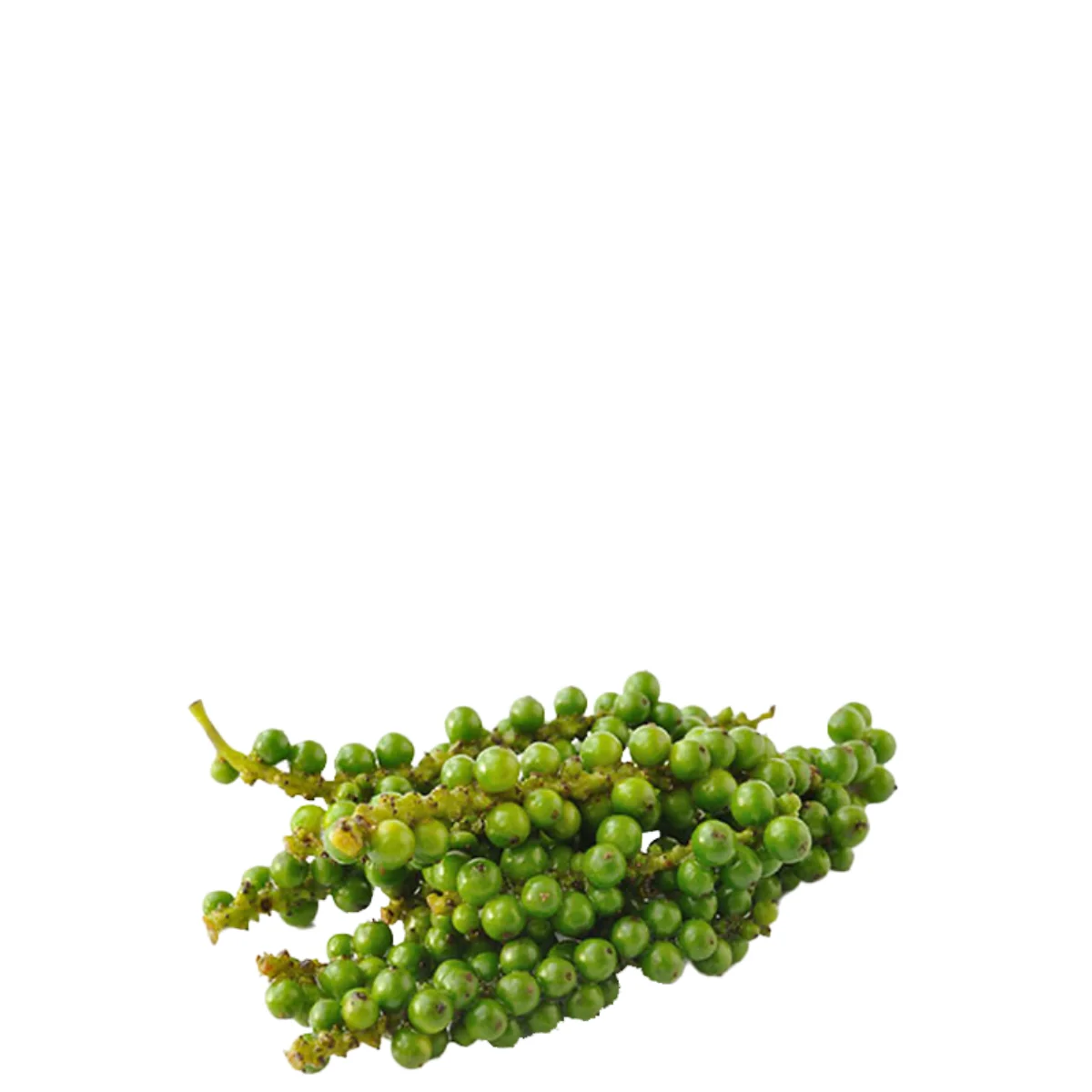 gadsfresh veg (14)