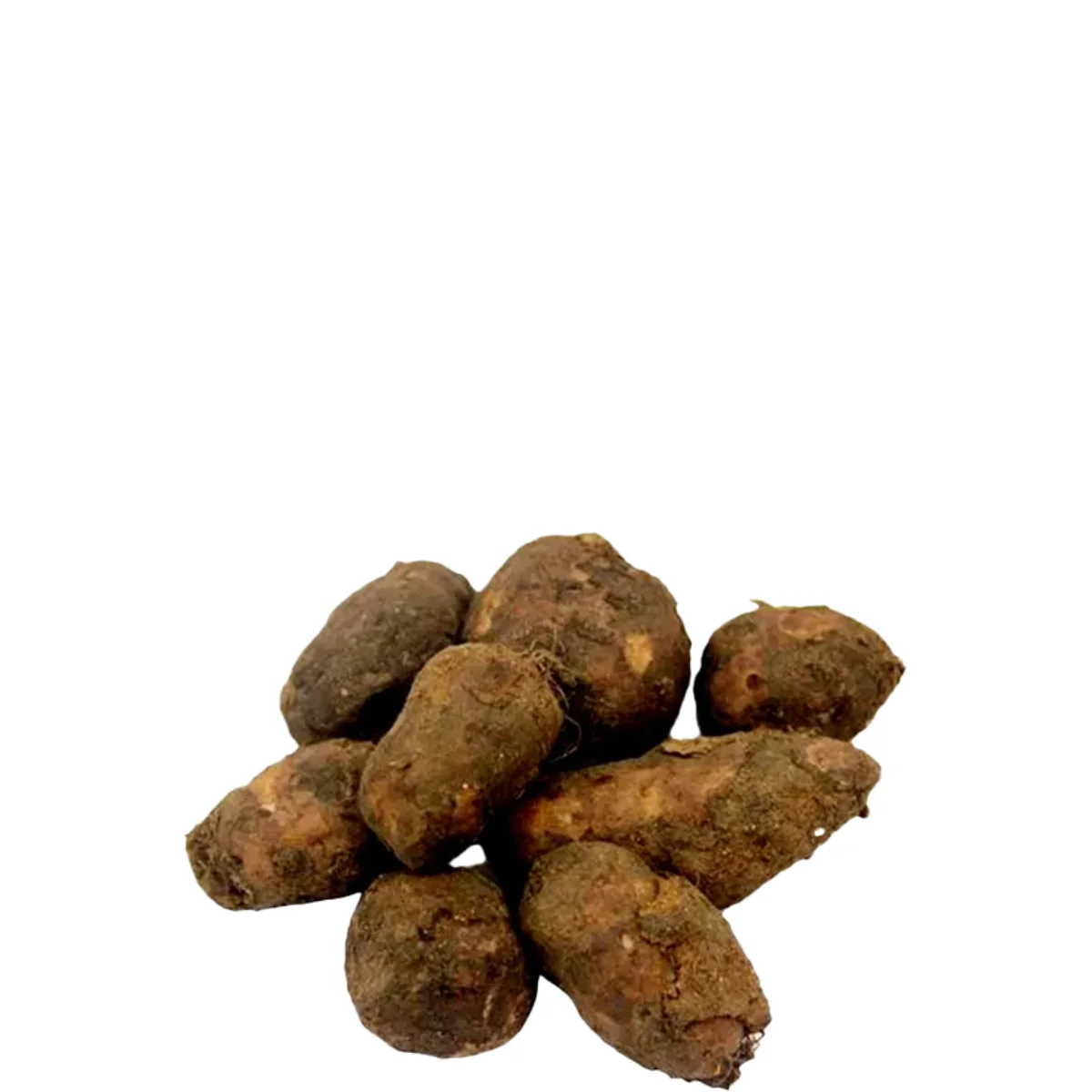 gadsfresh veg (19)