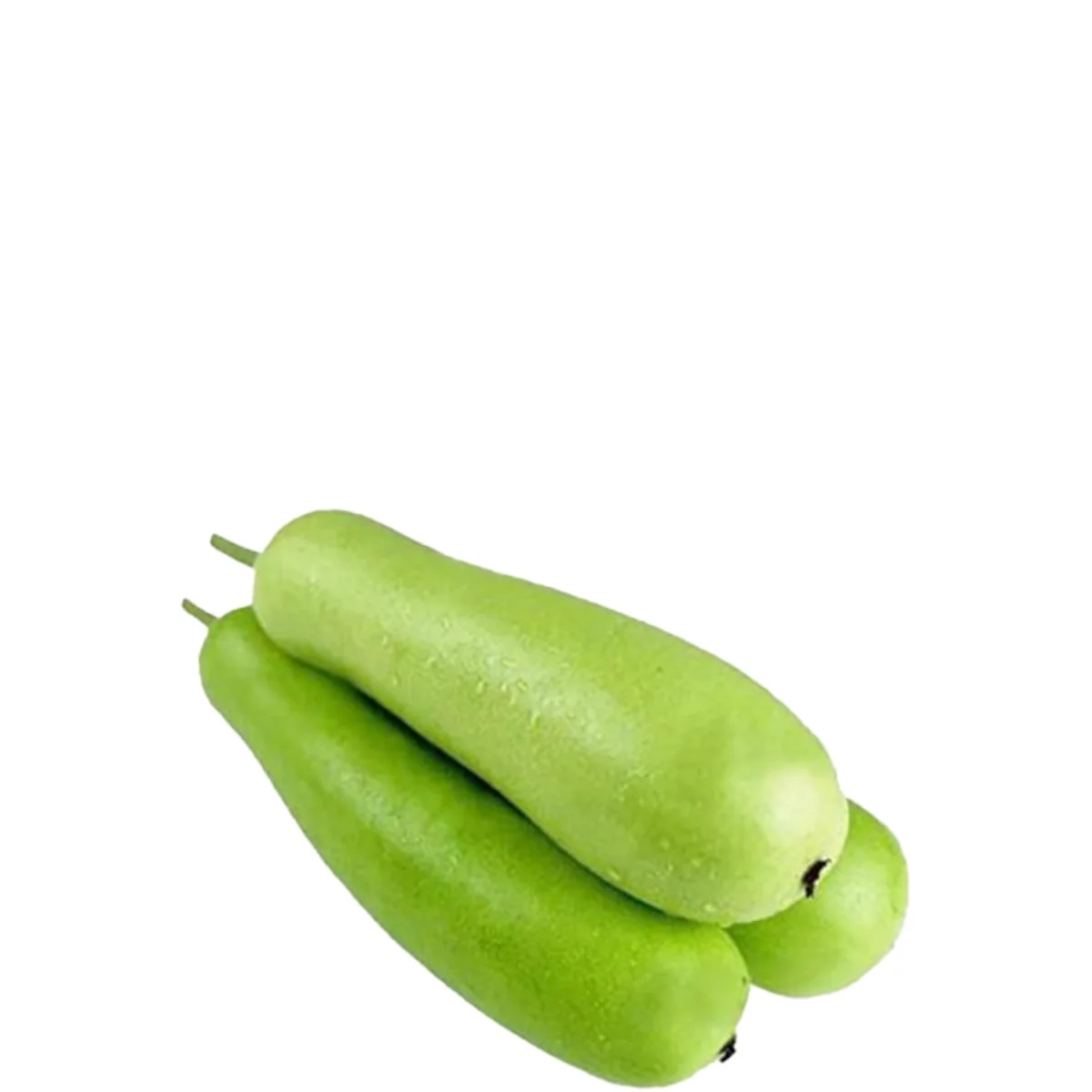 gadsfresh veg (20)