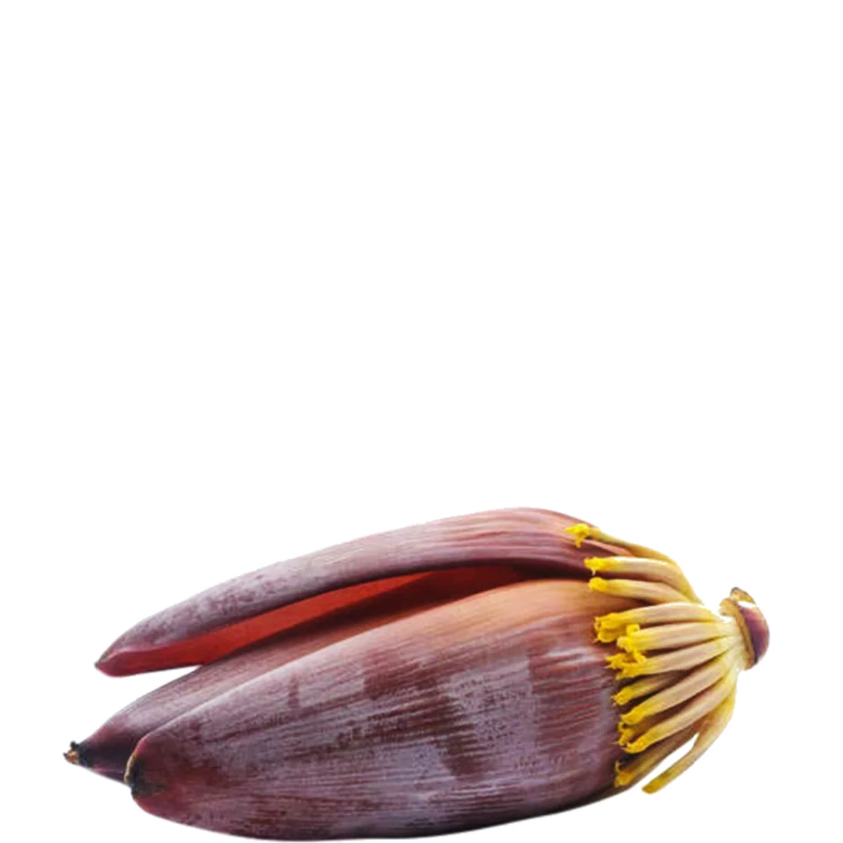 gadsfresh veg (23)