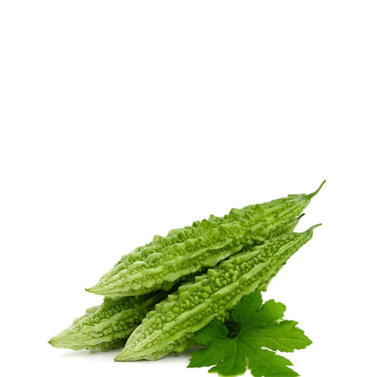 gadsfresh veg (27)
