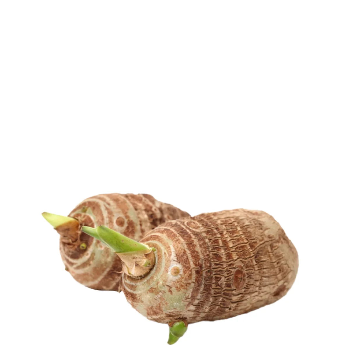 gadsfresh veg (3)