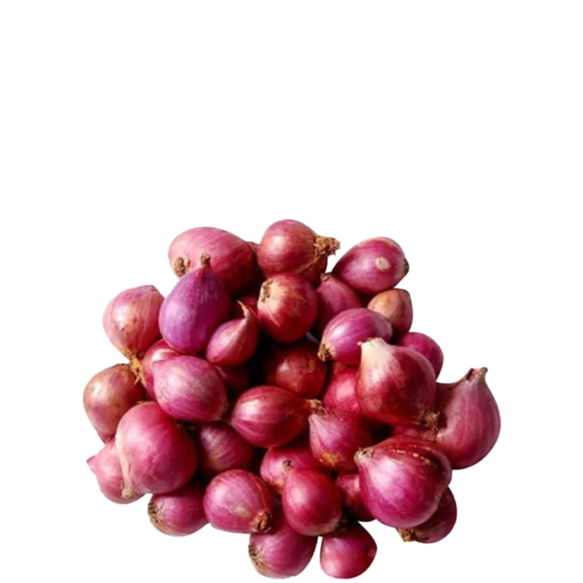 gadsfresh veg (4)