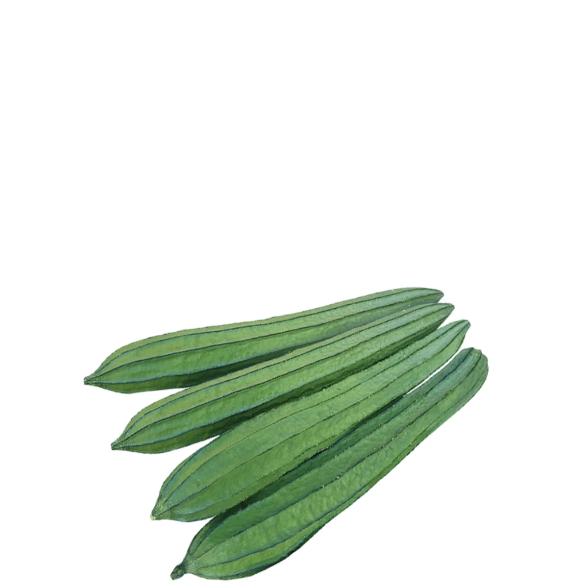 gadsfresh veg (6)