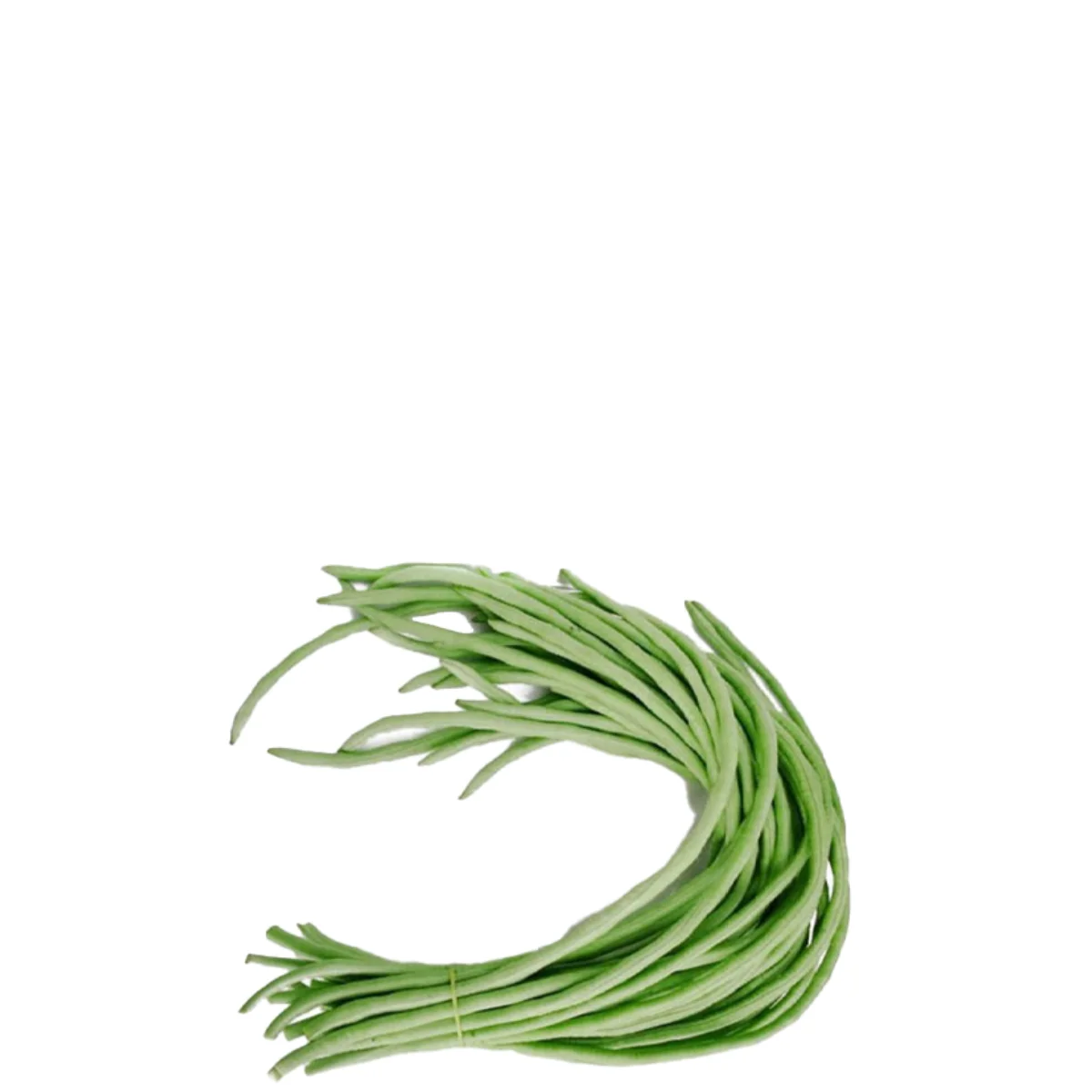 gadsfresh veg (8)