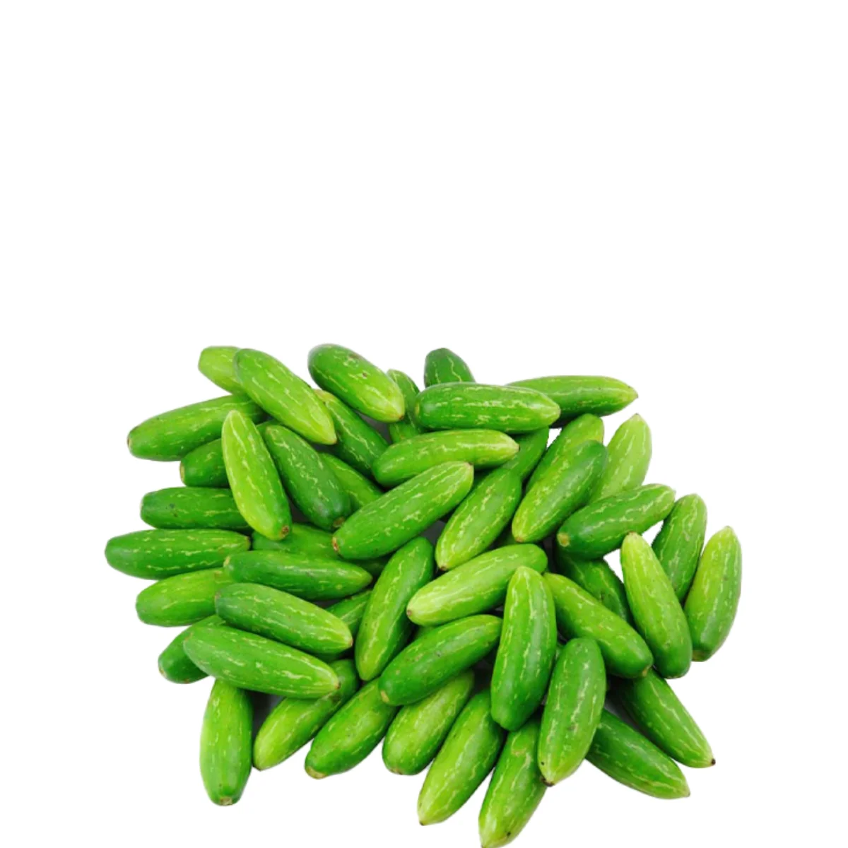 gadsfresh veg (9)