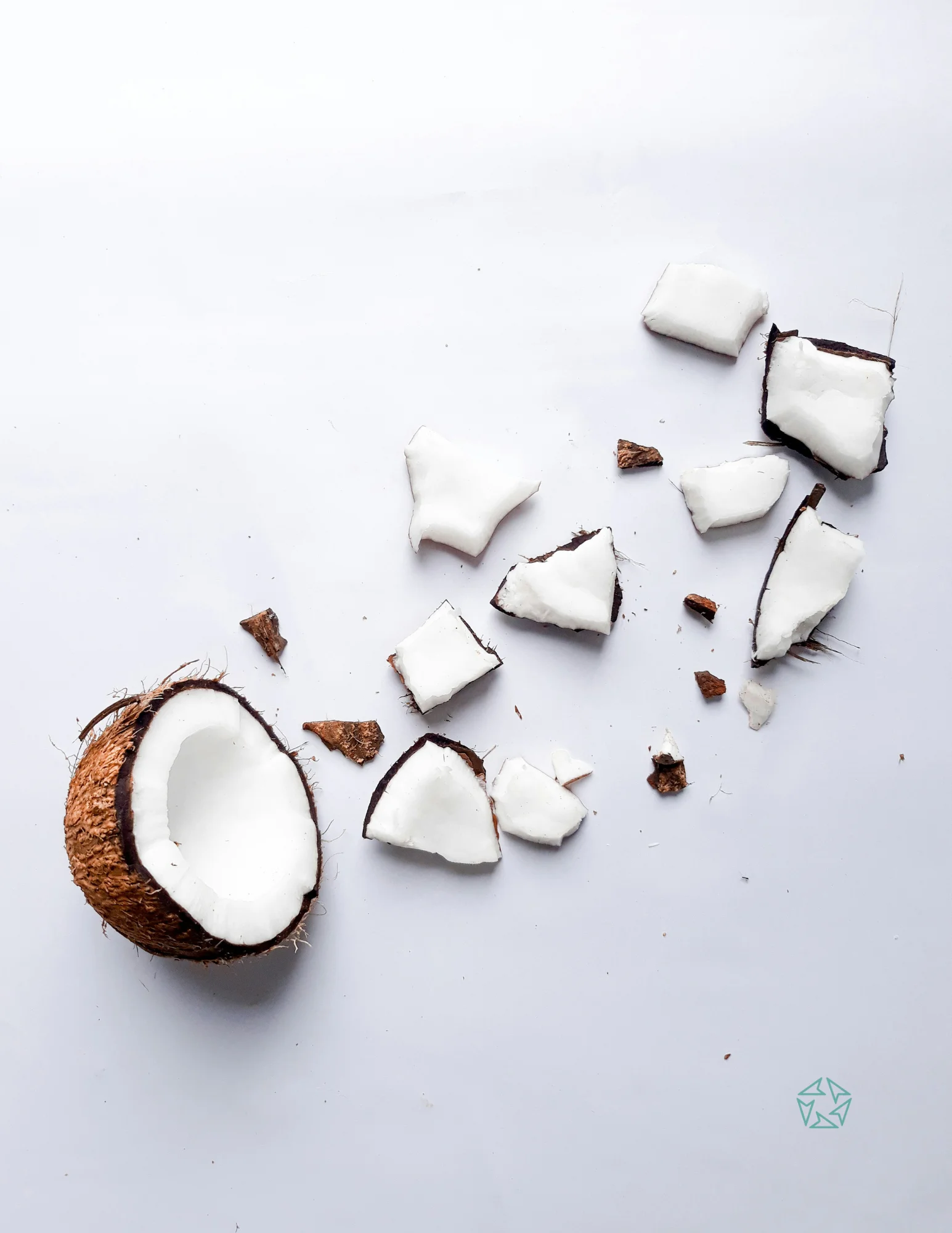 pure coconut & palm products