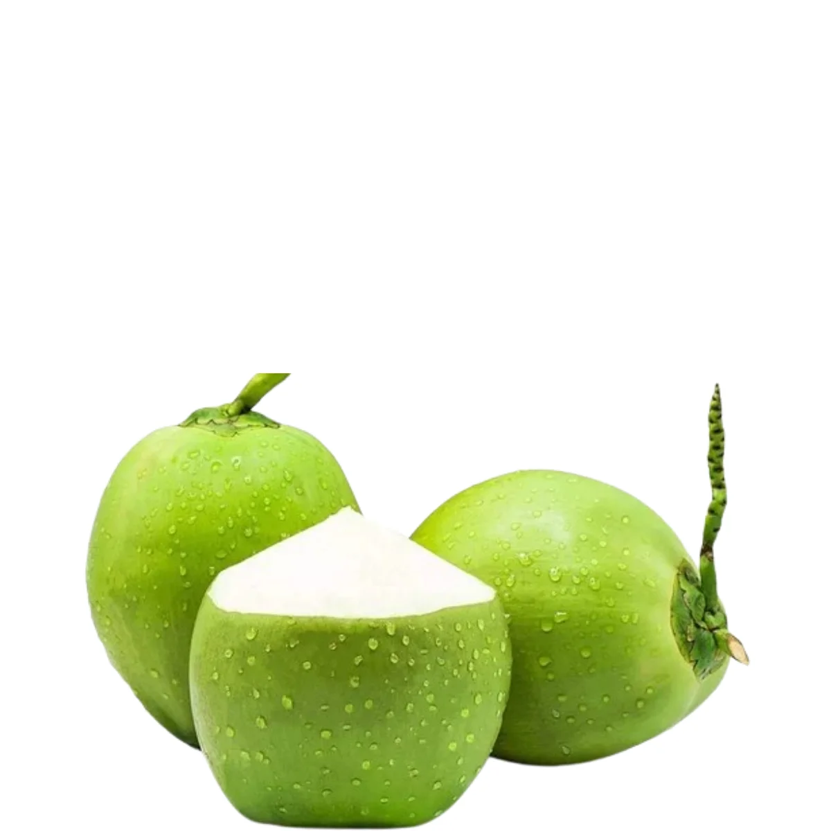 gads fruits (14)