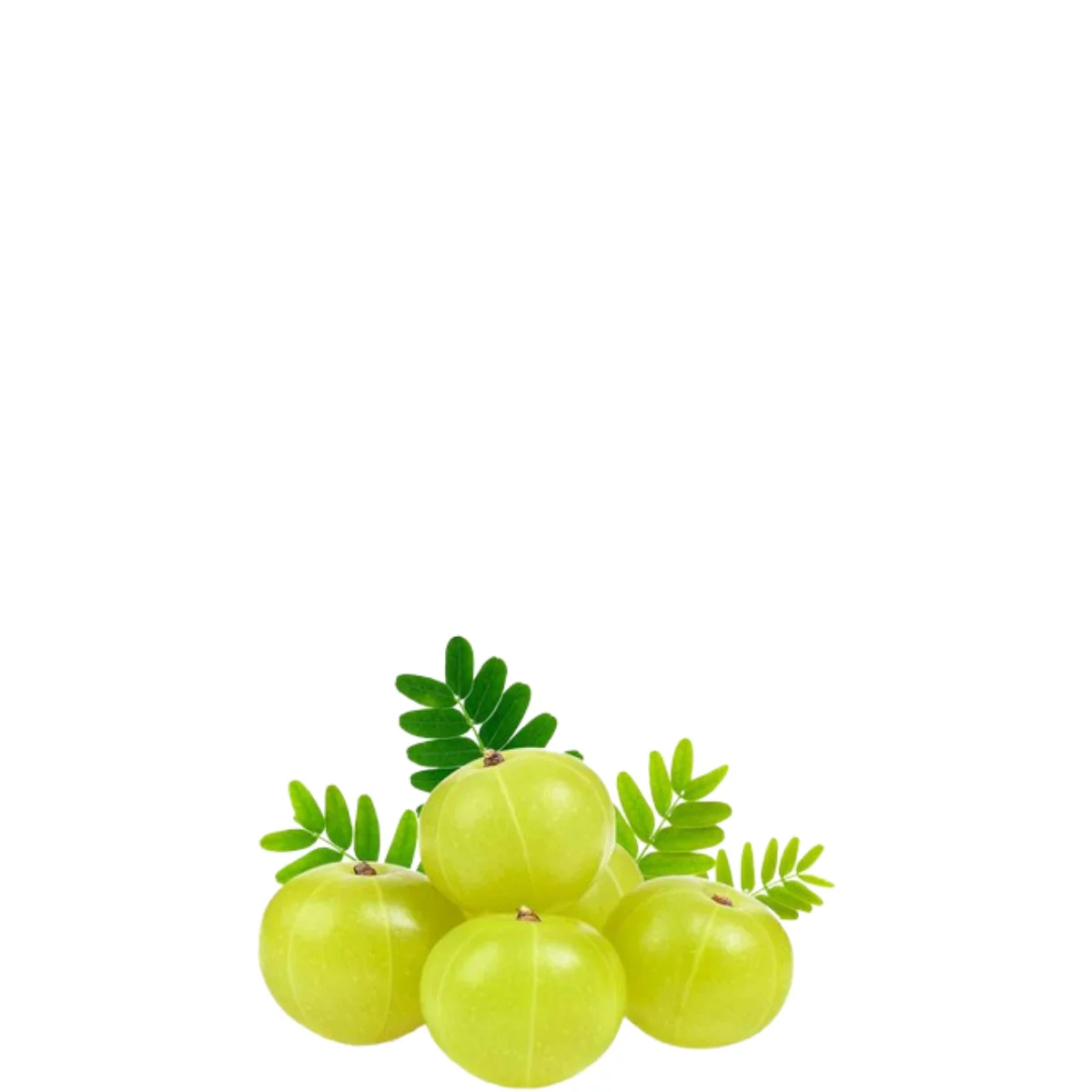 gads fruits (16)