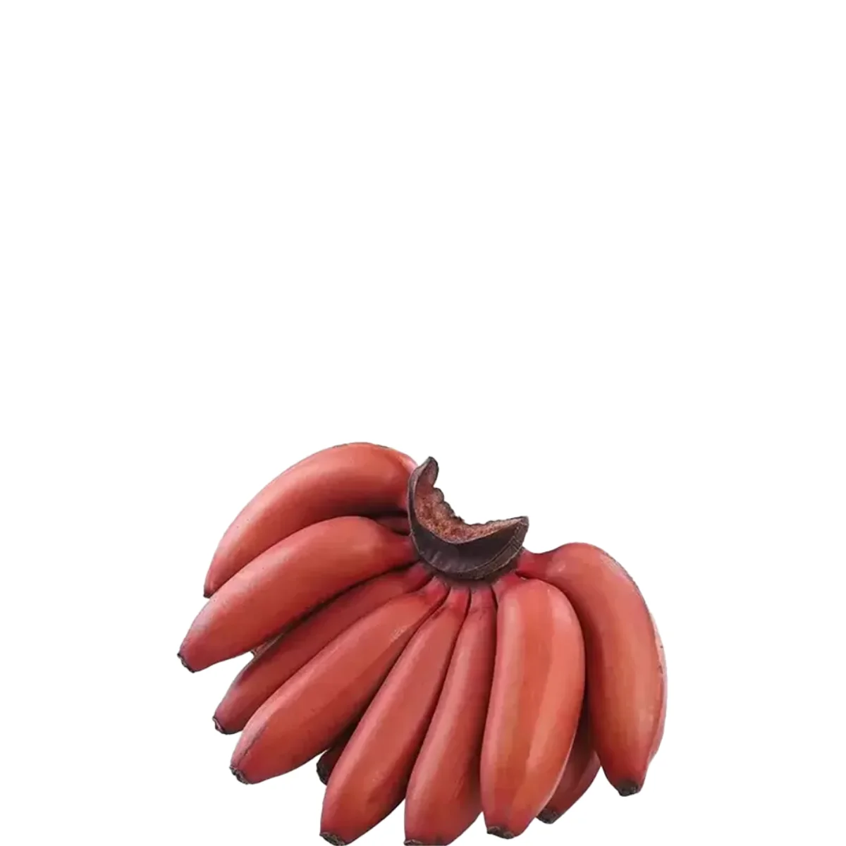 gads fruits (18)