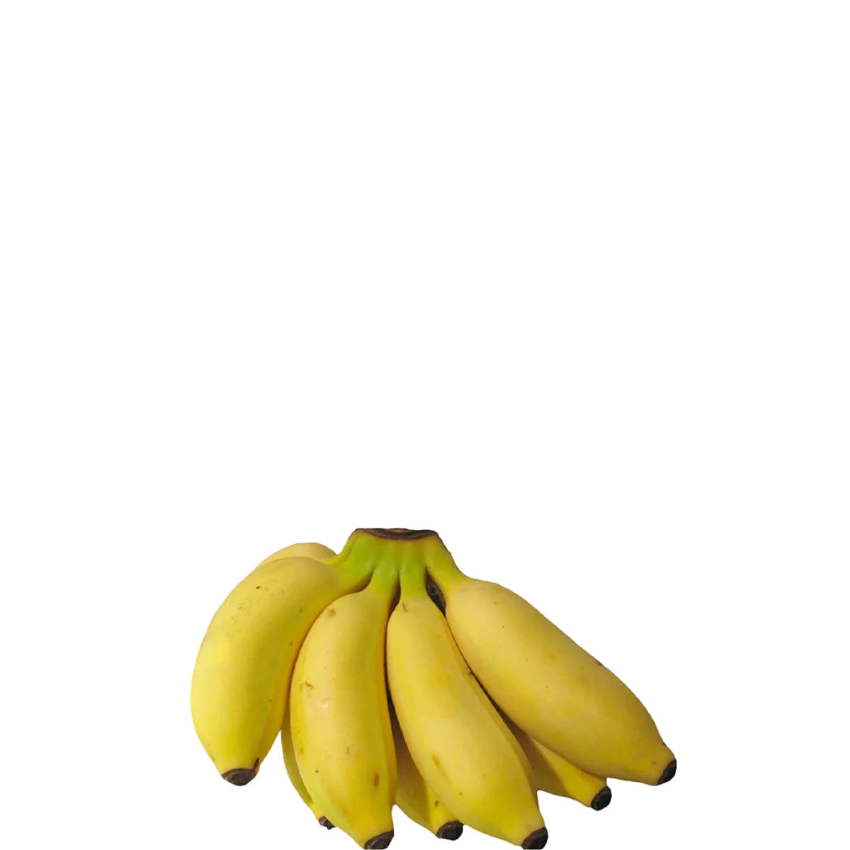gads fruits (7)